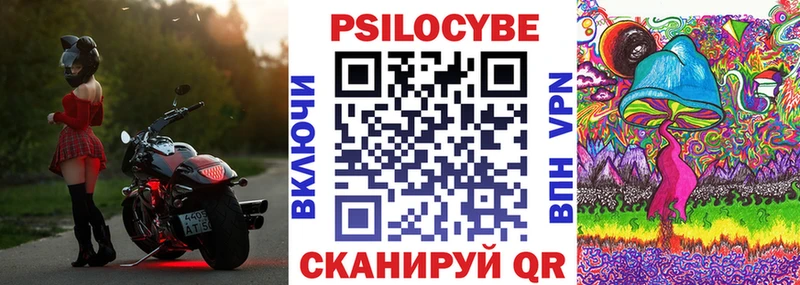 Псилоцибиновые грибы Cubensis  Шацк 