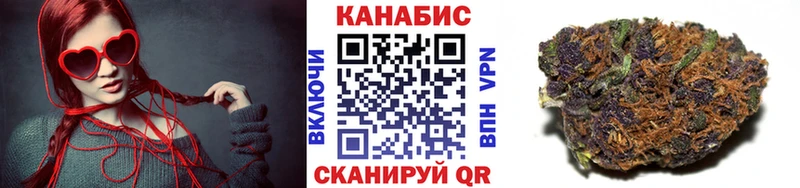 Марихуана гибрид Шацк